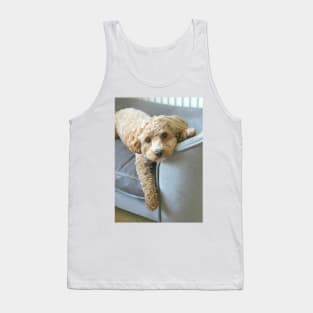 It's a Maltipoo Thing... Tank Top